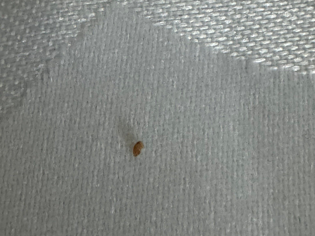 汉普顿酒店锡考克斯梅多兰兹主图