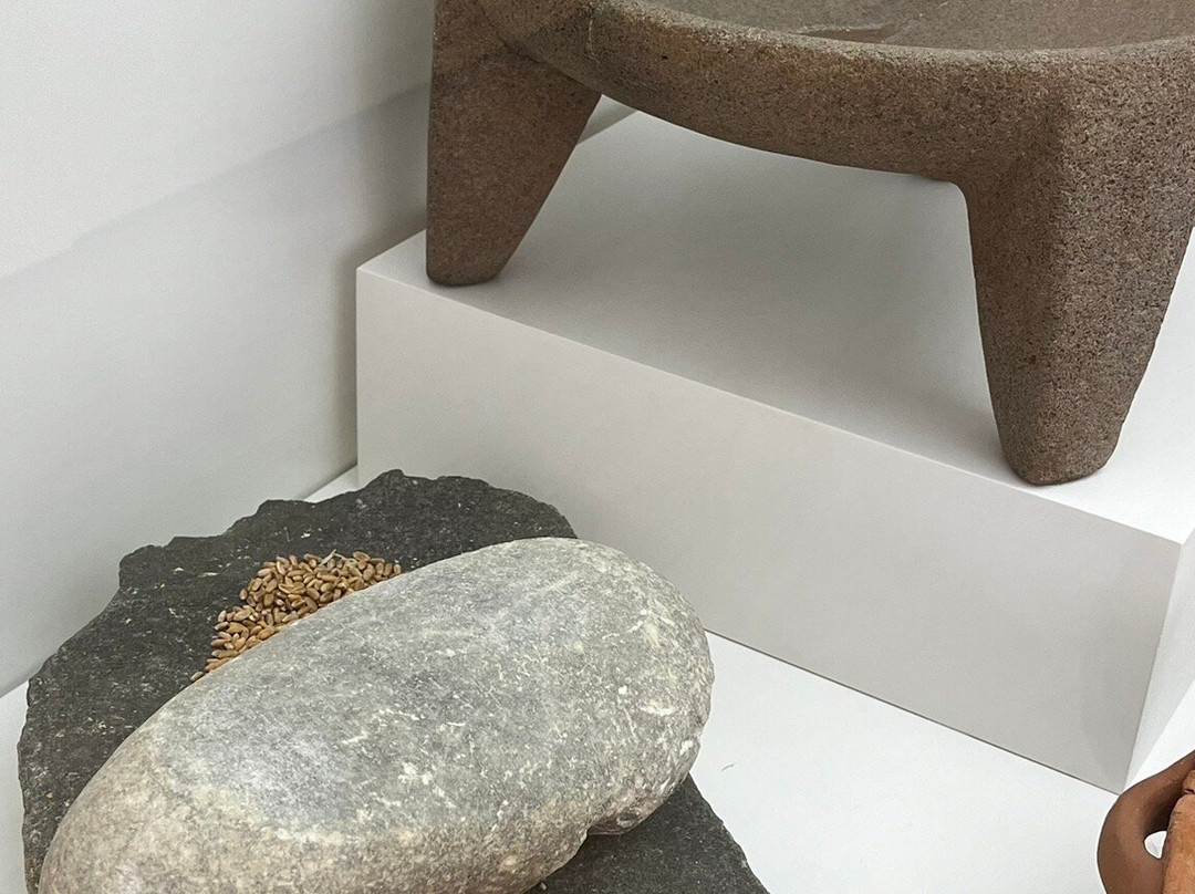 Archaeological Museum of Sitia-Sitia必去景点