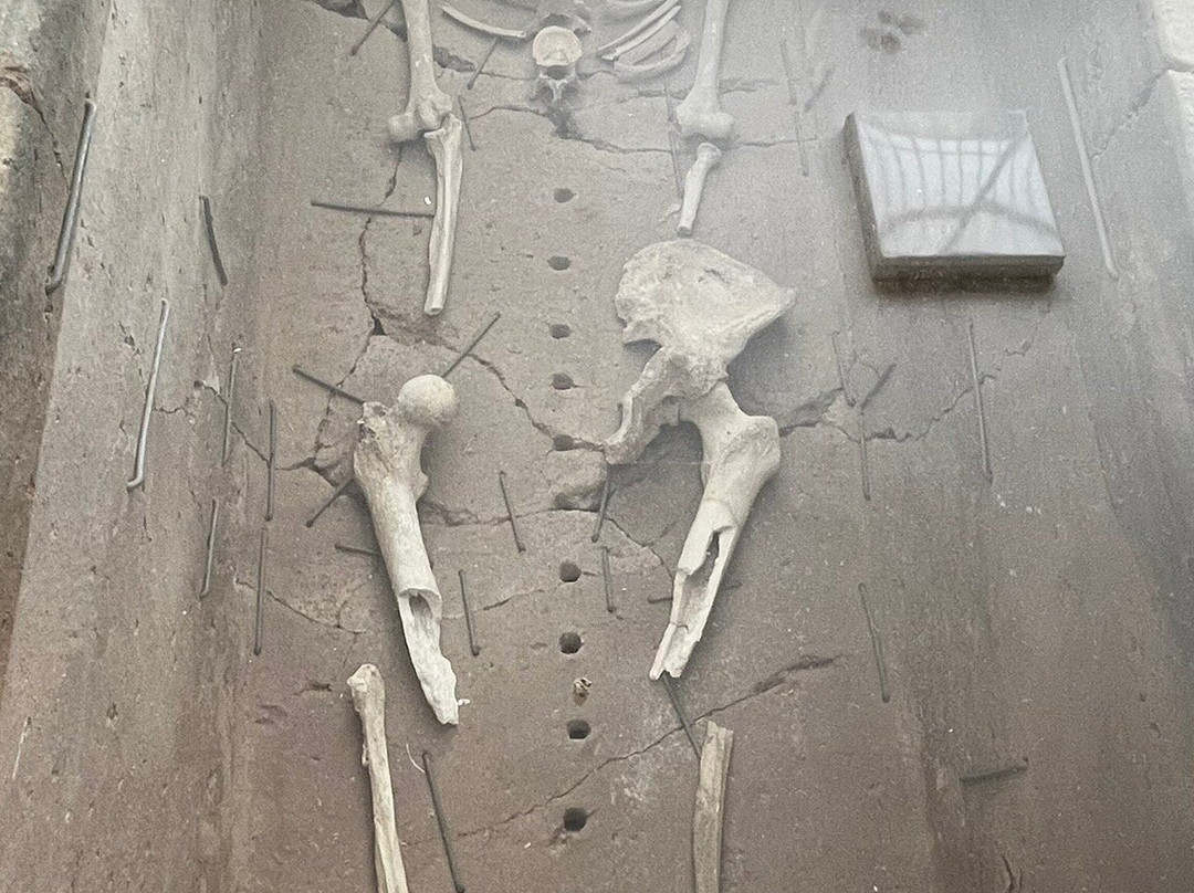 Archaeological Museum of Sitia-Sitia必去景点