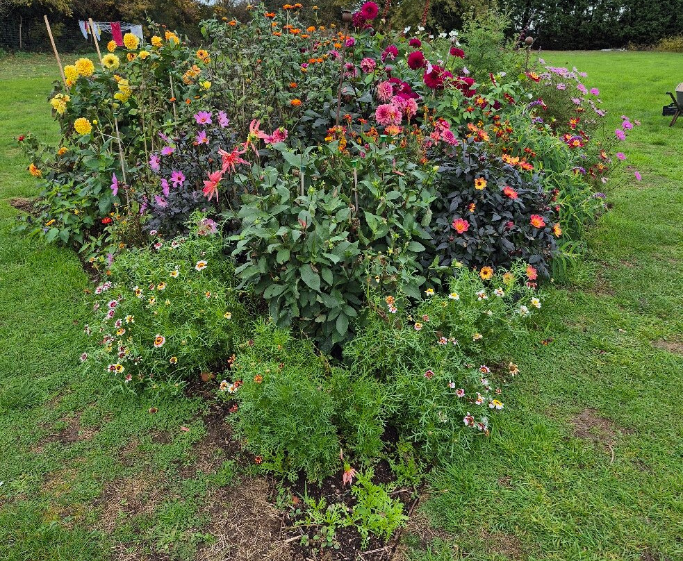 Norwell Nurseries and Gardens-Norwell必去景点