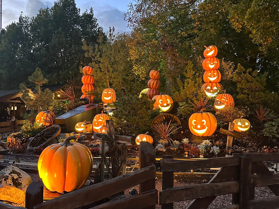 汉萨公园-Sierksdorf必去景点