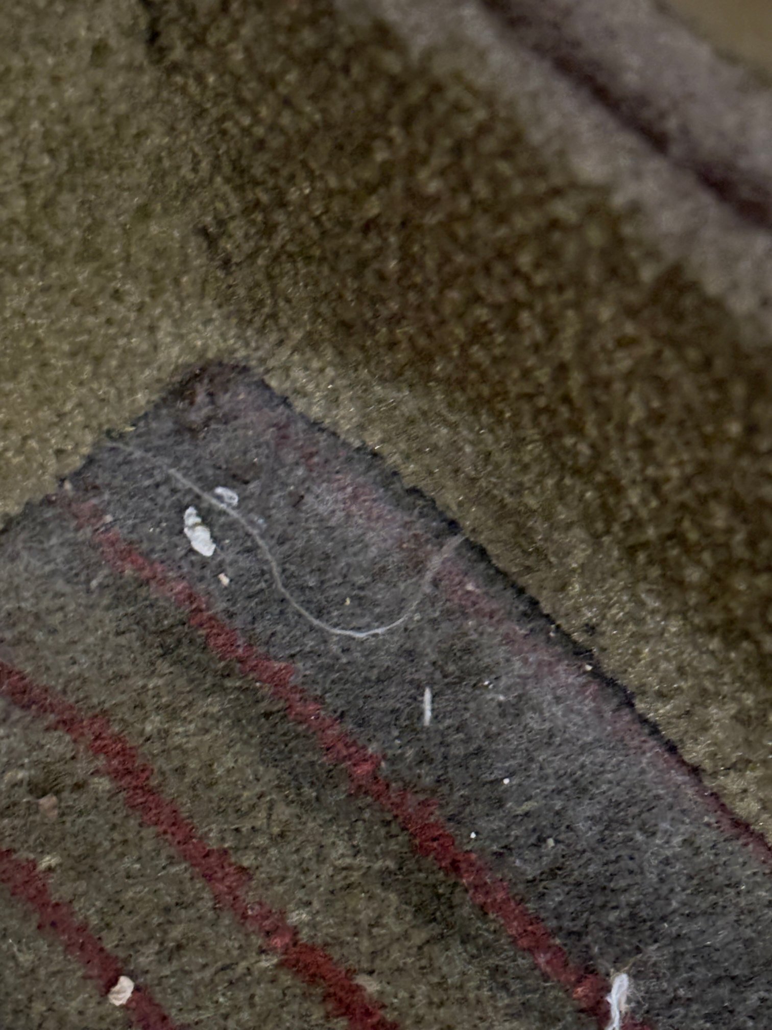 Amicalola Falls State Park and Lodge-客卧