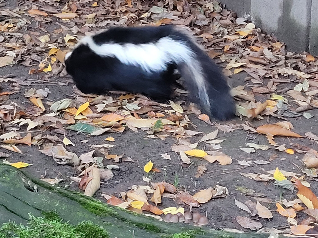 Legendia Parc-Frossay必去景点