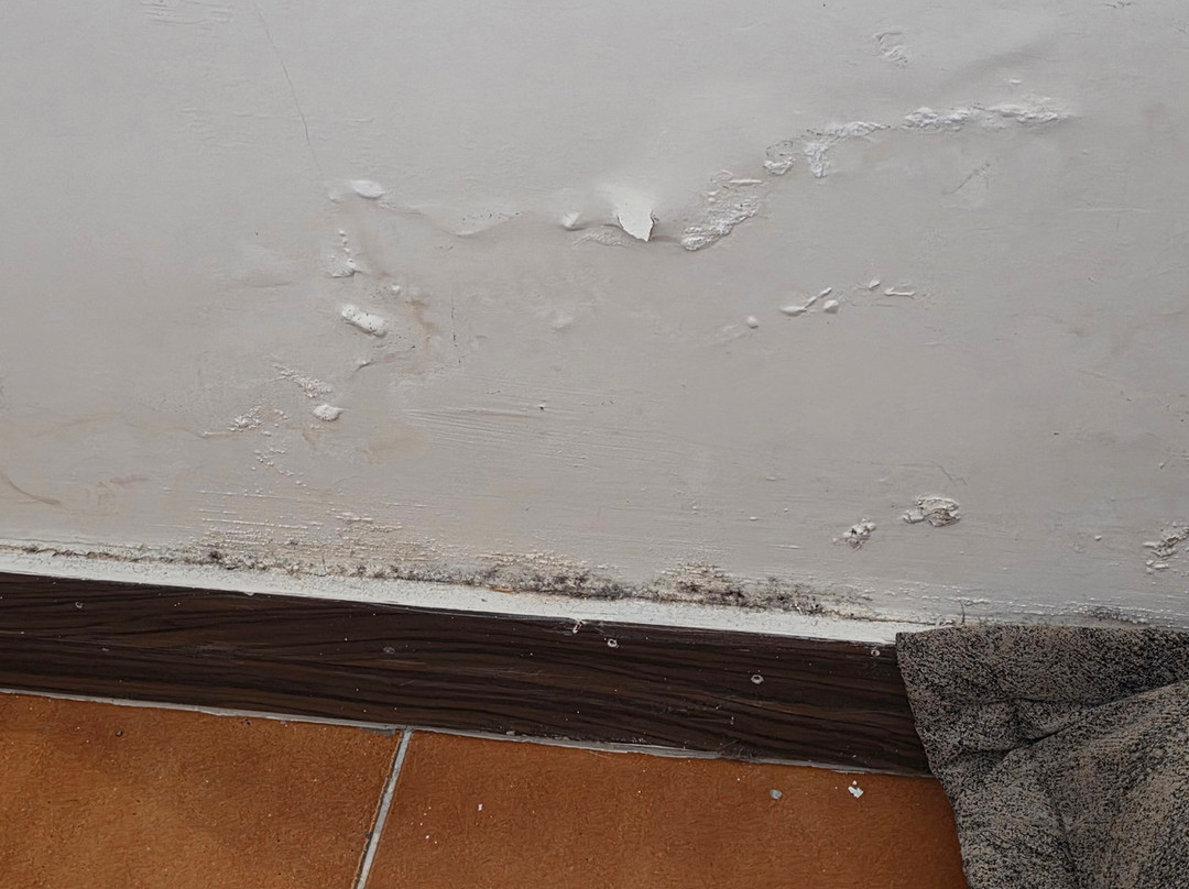 Roseira Beach Resort主图