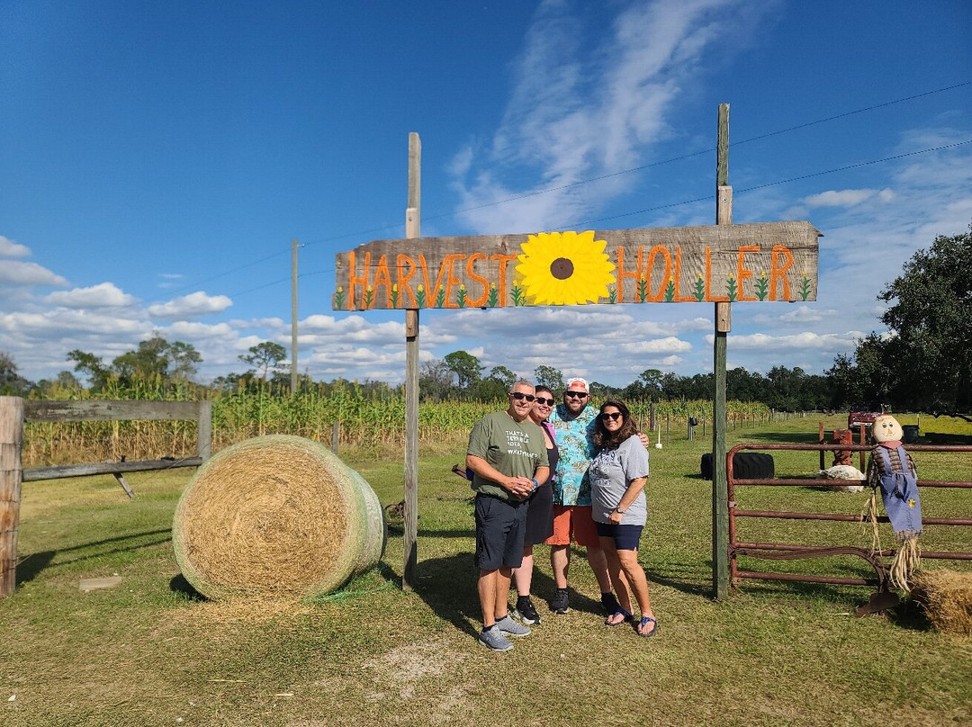 Harvest Holler Corn Maze-Polk City必去景点