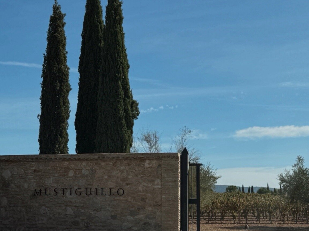 Bodega Mustiguillo-Utiel必去景点