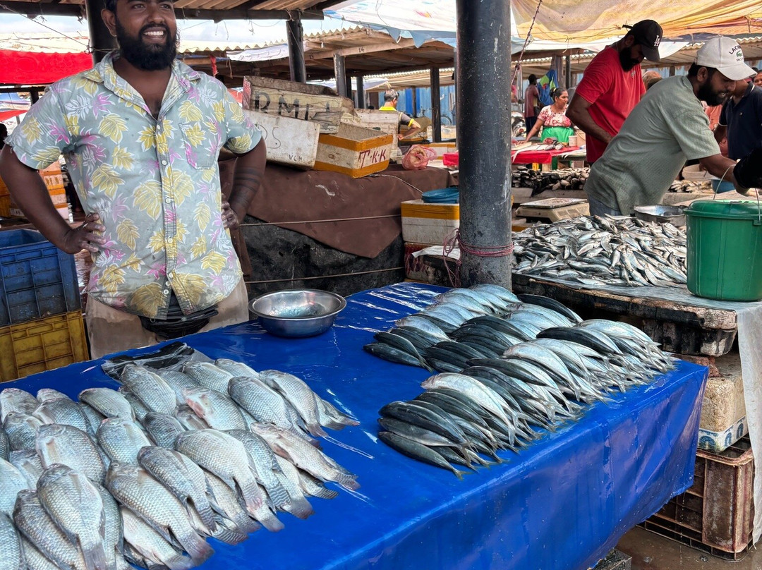 Negombo Fish Market-尼甘布必去景点