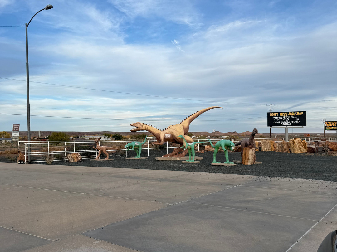 Jim Gray's Petrified Wood Co.-霍尔布鲁克必去景点