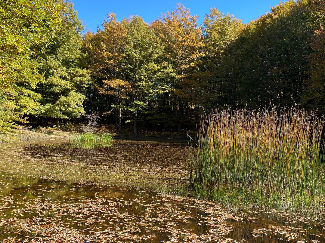 The Island of Wonders | Sicily and Etna Excursions-Randazzo必去景点