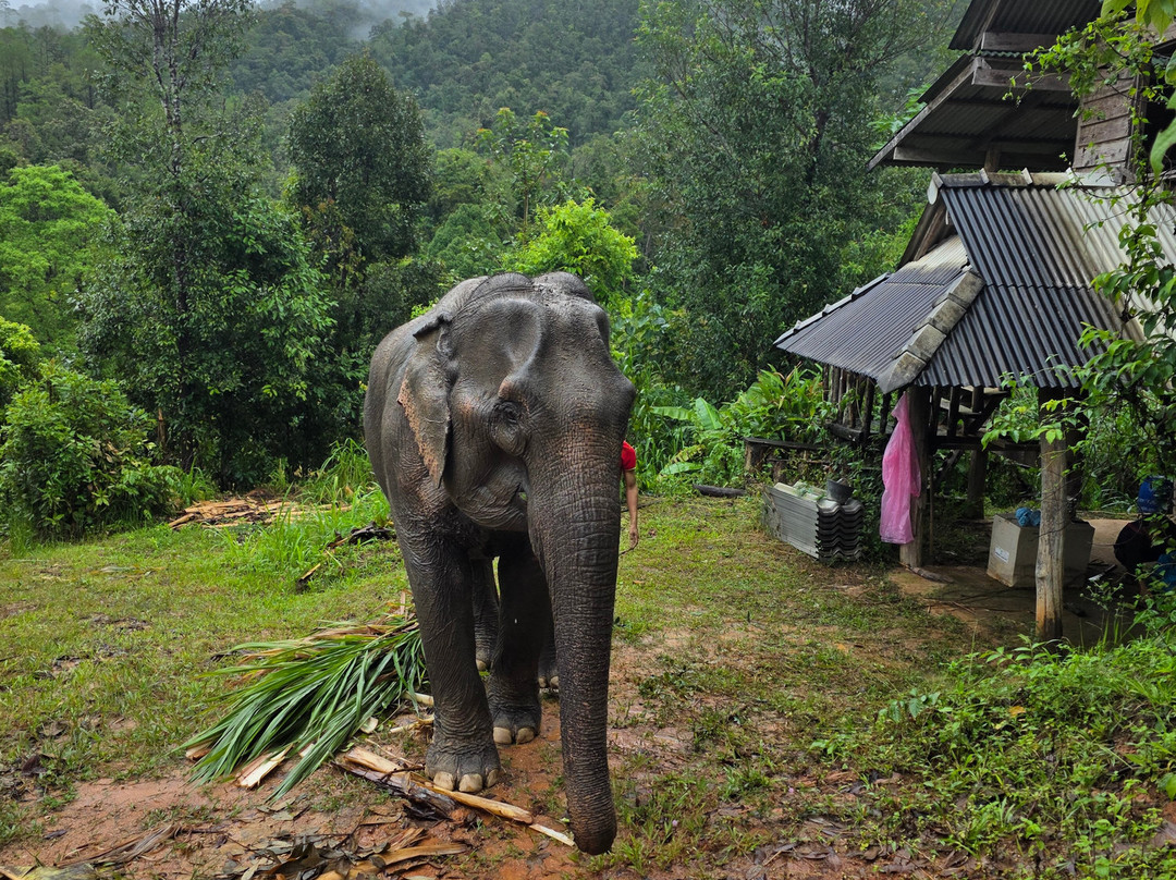 Ruta Tailandia-清迈必去景点
