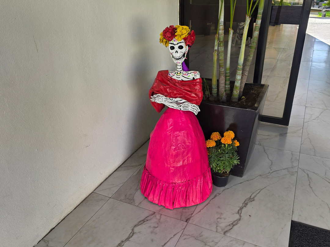 Casa Francisco Cuernavaca主图