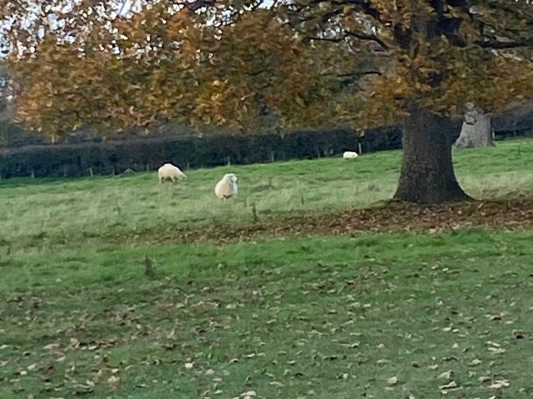 Sissinghurst Castle Estate Walking Trails-Sissinghurst必去景点