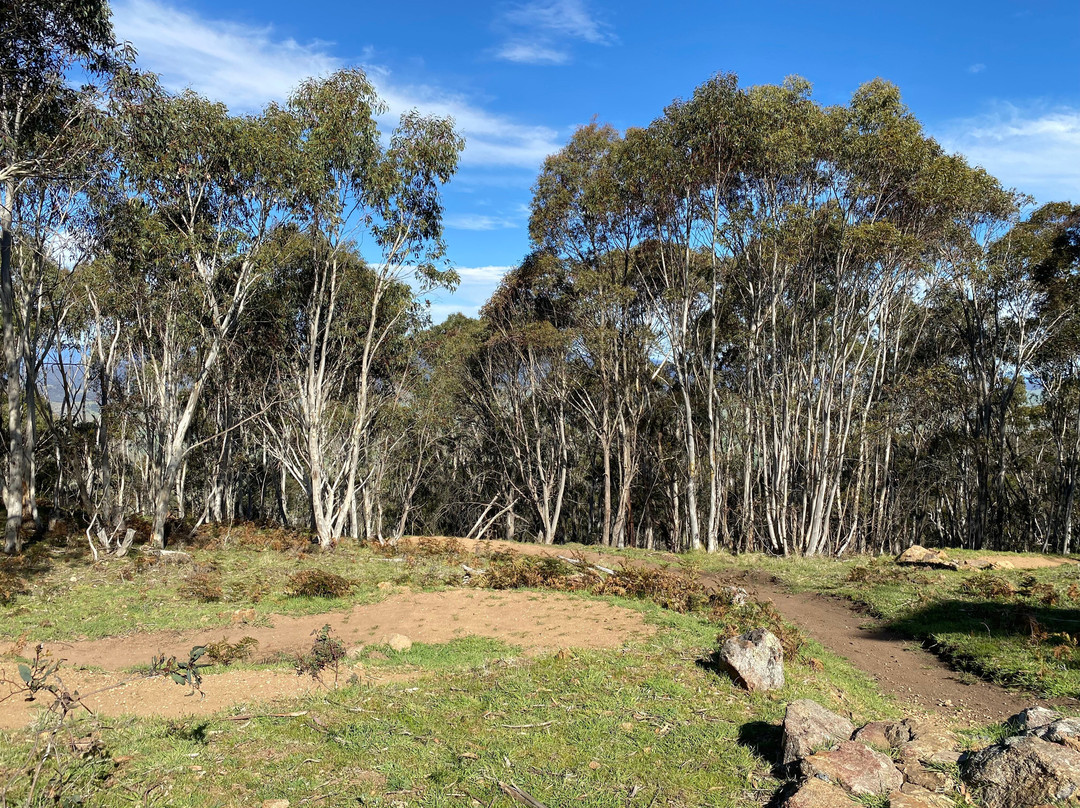 Omeo Mtb Park-Omeo必去景点