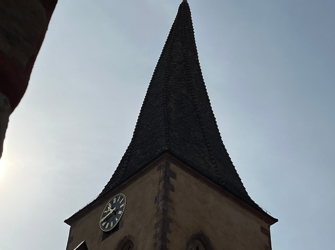 Eglise Saint-Gall-下莫施威尔必去景点