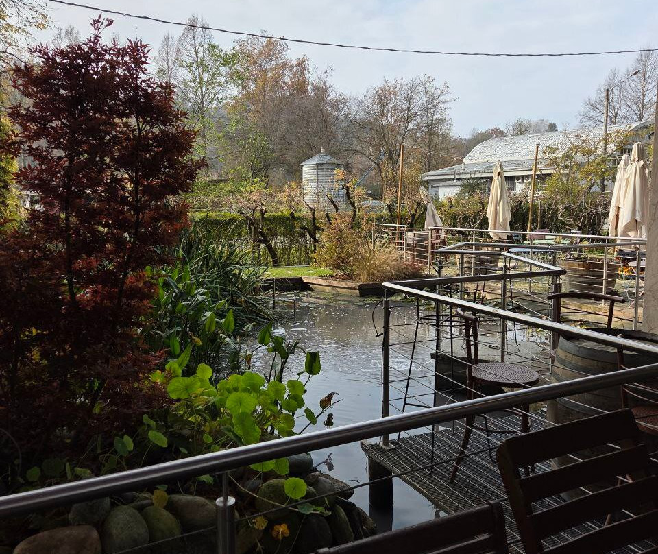 Pierino Vellano - la Cantina di Ca' San Sebastiano-Camino必去景点