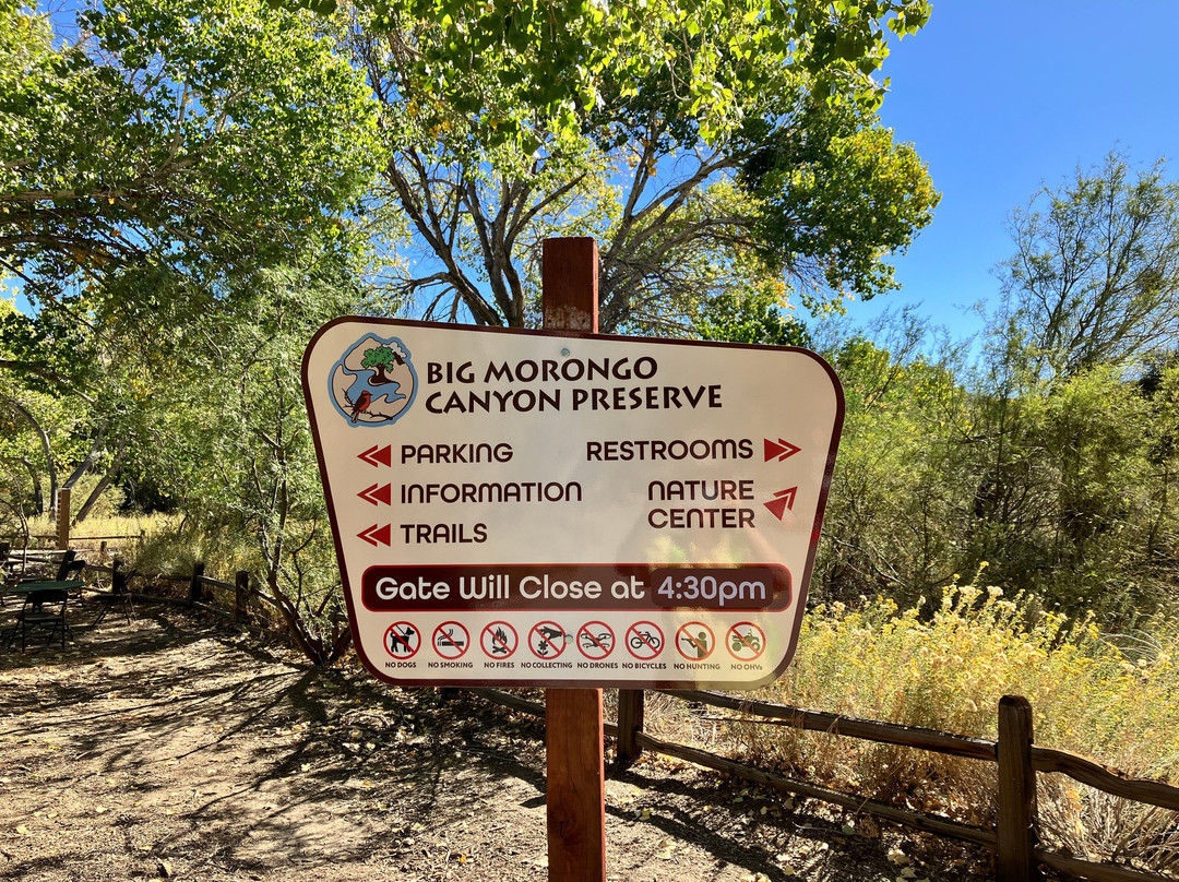Big Morongo Canyon Preserve-Morongo Valley必去景点
