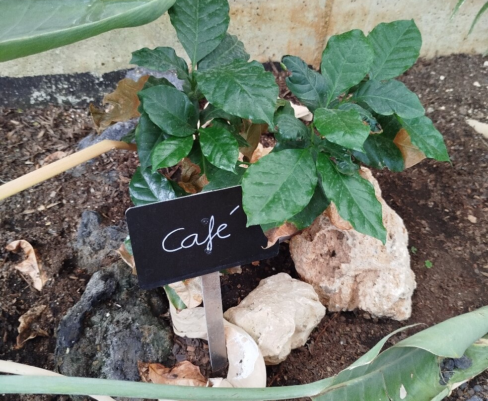 Jardin Botanico de Castilla-La Mancha-阿尔瓦塞特必去景点