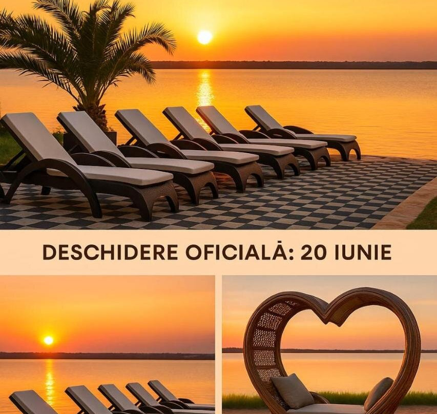 Pensiunea Almar主图