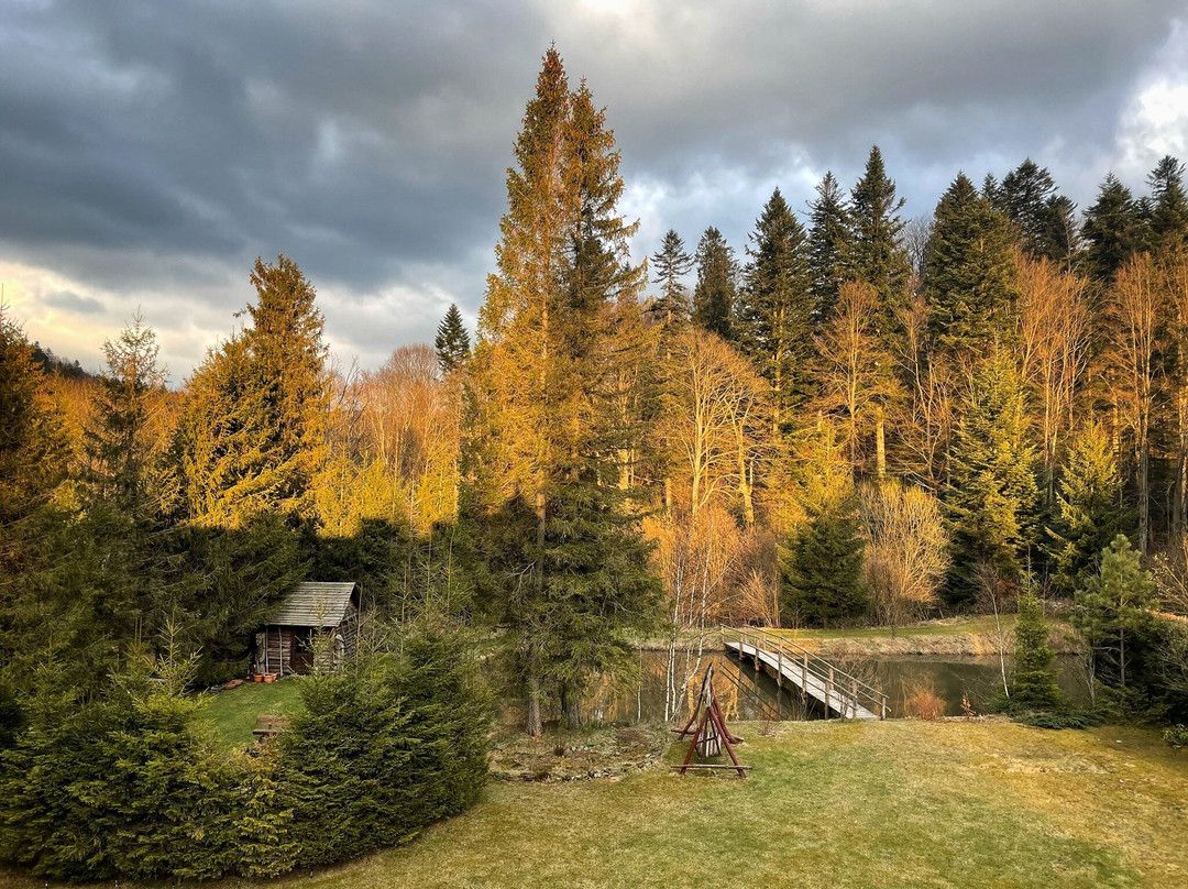 Lyuta酒店住宿-Willa Arnika