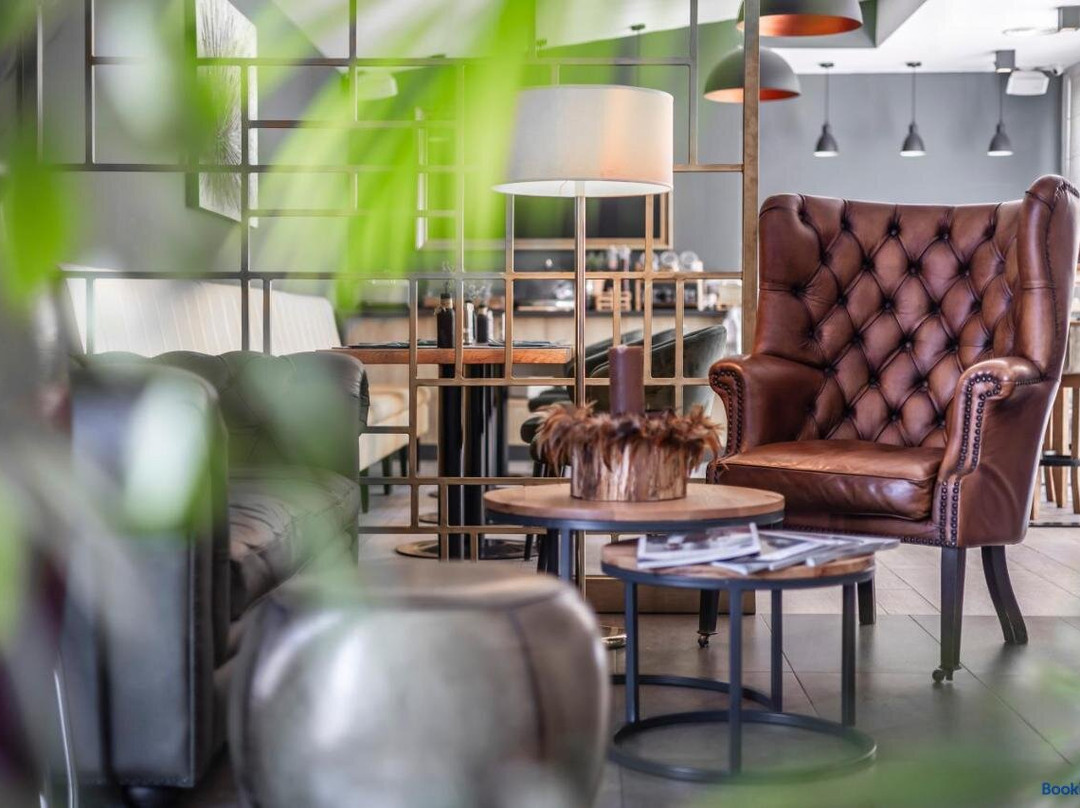 Satu Mare酒店住宿-Charm Boutique Hotel