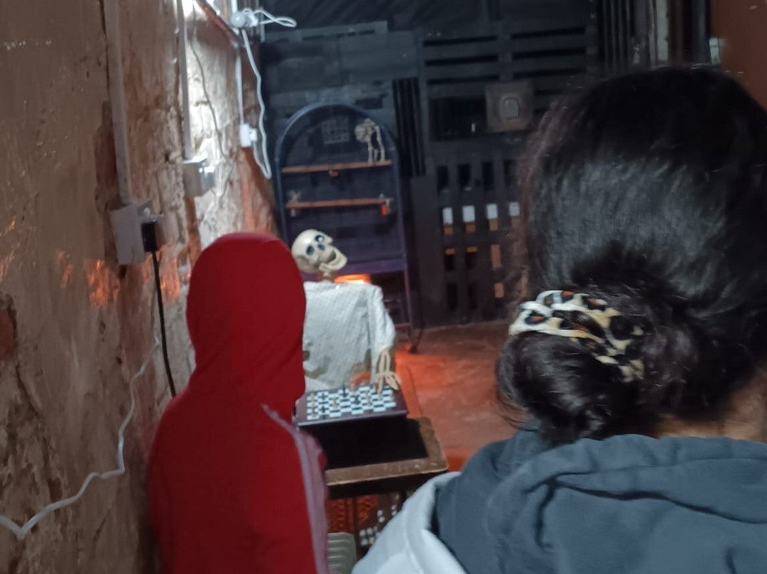 The Riddle Room Forest Hall-纽卡斯尔必去景点