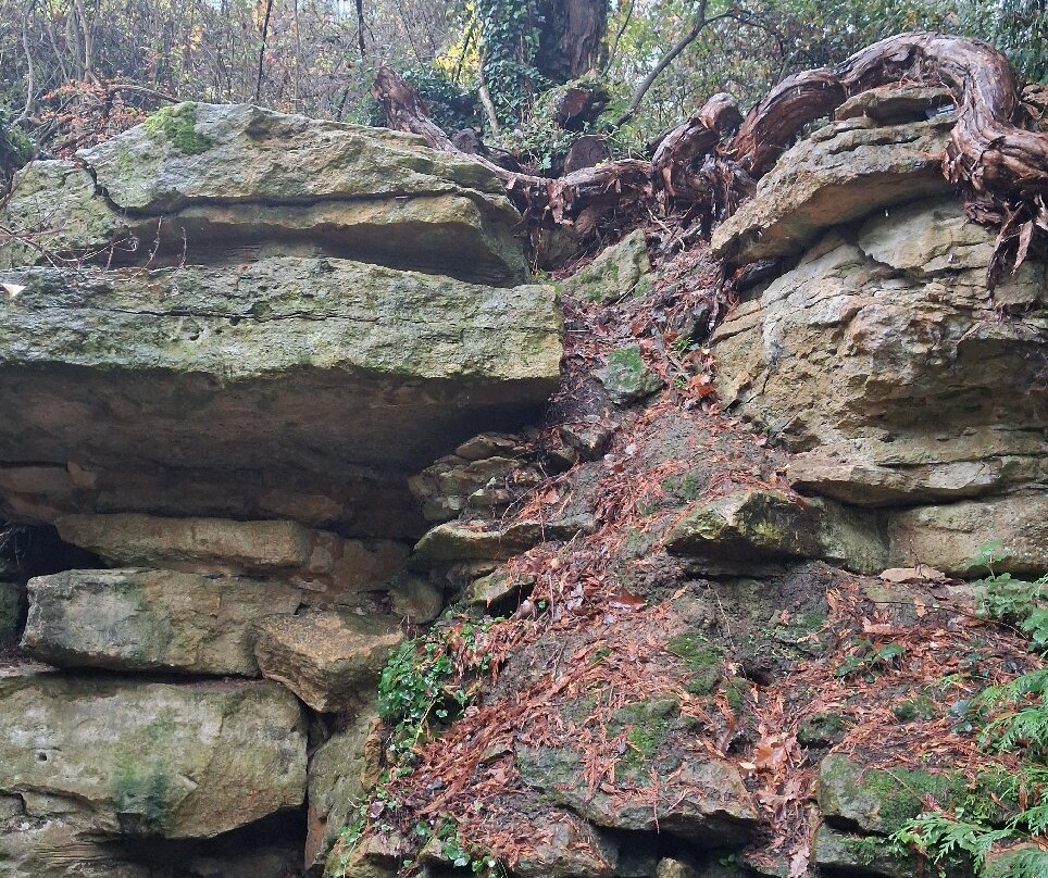 Batsford Arboretum-莫顿因马什必去景点