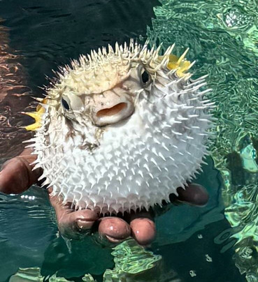 Giacomo Salento Safari Kenya-瓦塔木必去景点