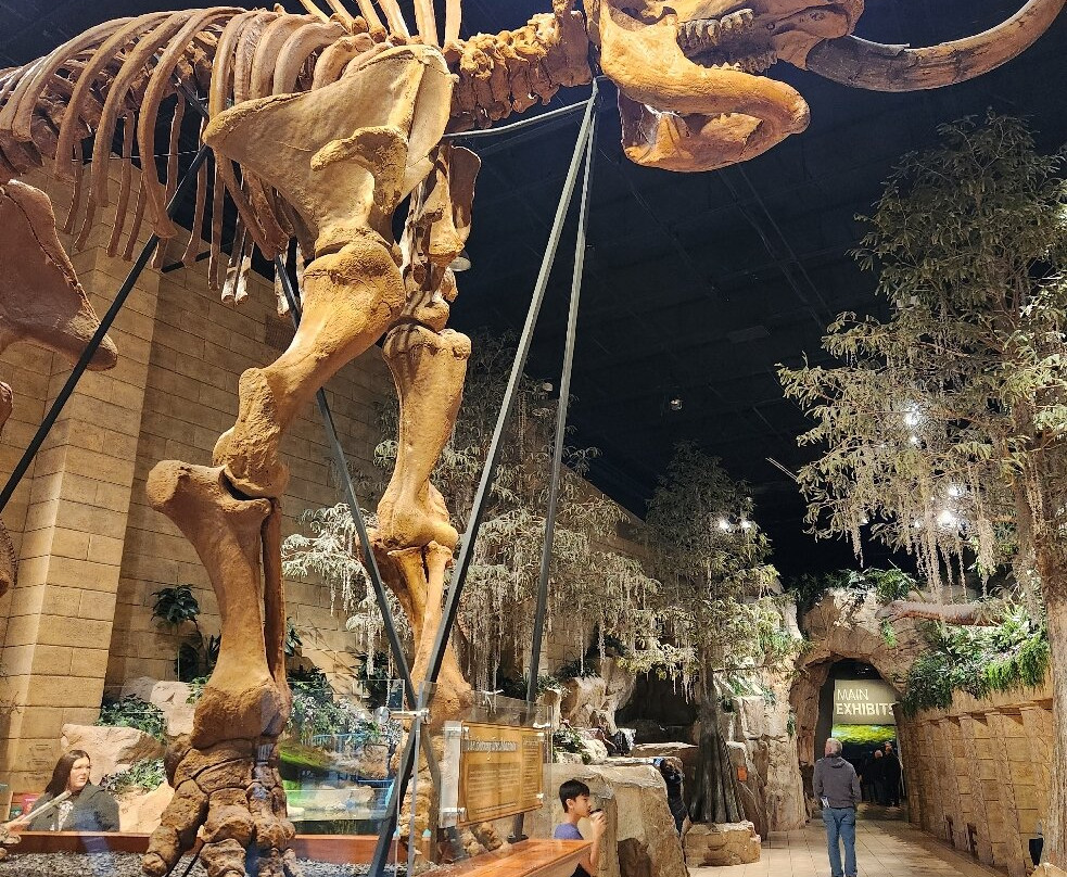 Creation Museum-Petersburg必去景点