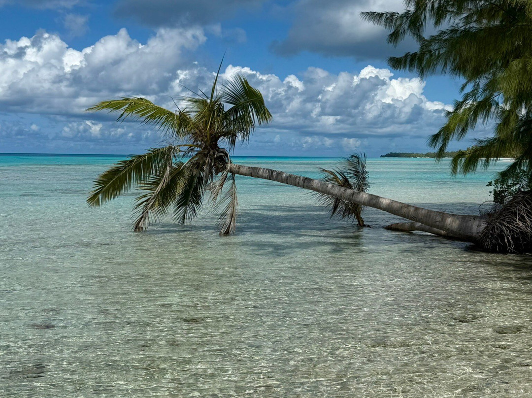 Ile aux Récifs-阿瓦托鲁必去景点