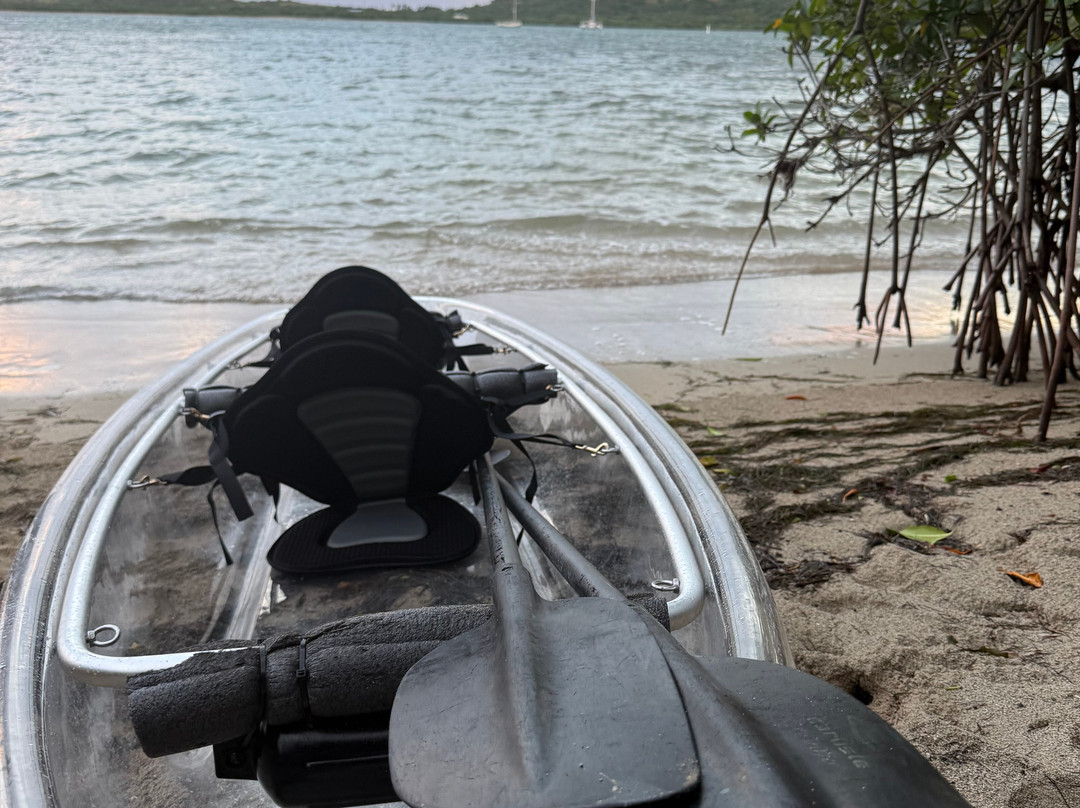 BushTribe Eco Adventures-Christiansted必去景点