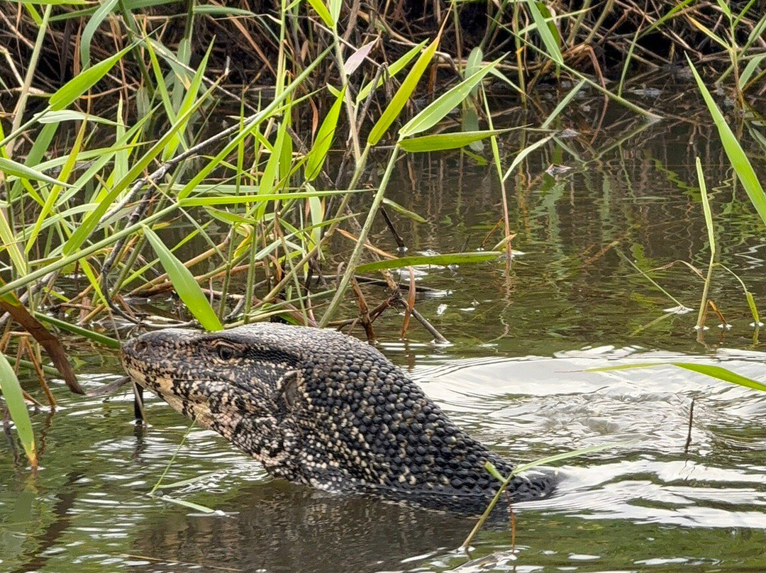 Kayak journey-Rekawa必去景点