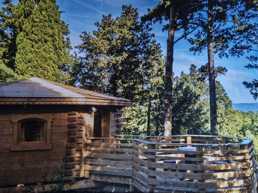 Les Cabanes Dans Les Bois  Logis Hôtel主图