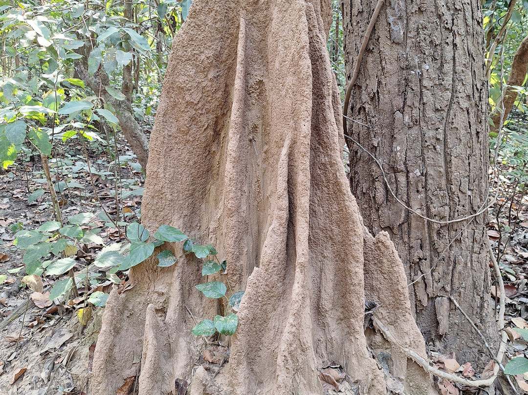 Adventure Safari & Trek-Thakurdwara必去景点