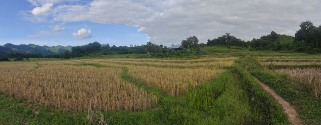 Luang Prabang Homestay主图