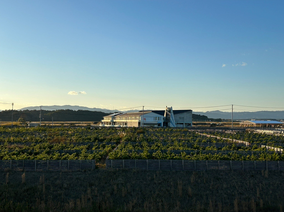 Real Fukushima-南相马市必去景点