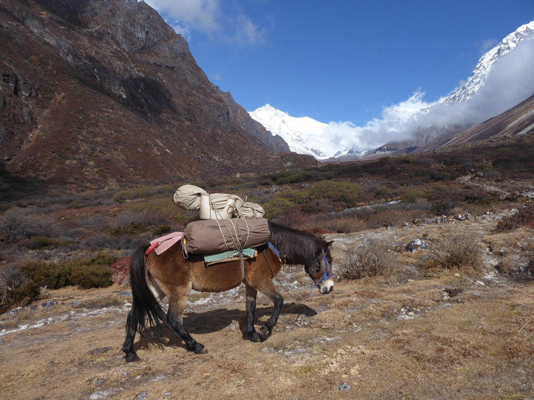 Mountain Tours & Travels-Geyzing必去景点