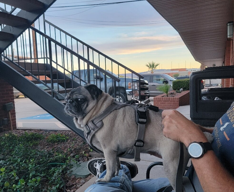 珊瑚山贝斯特韦斯特酒店主图