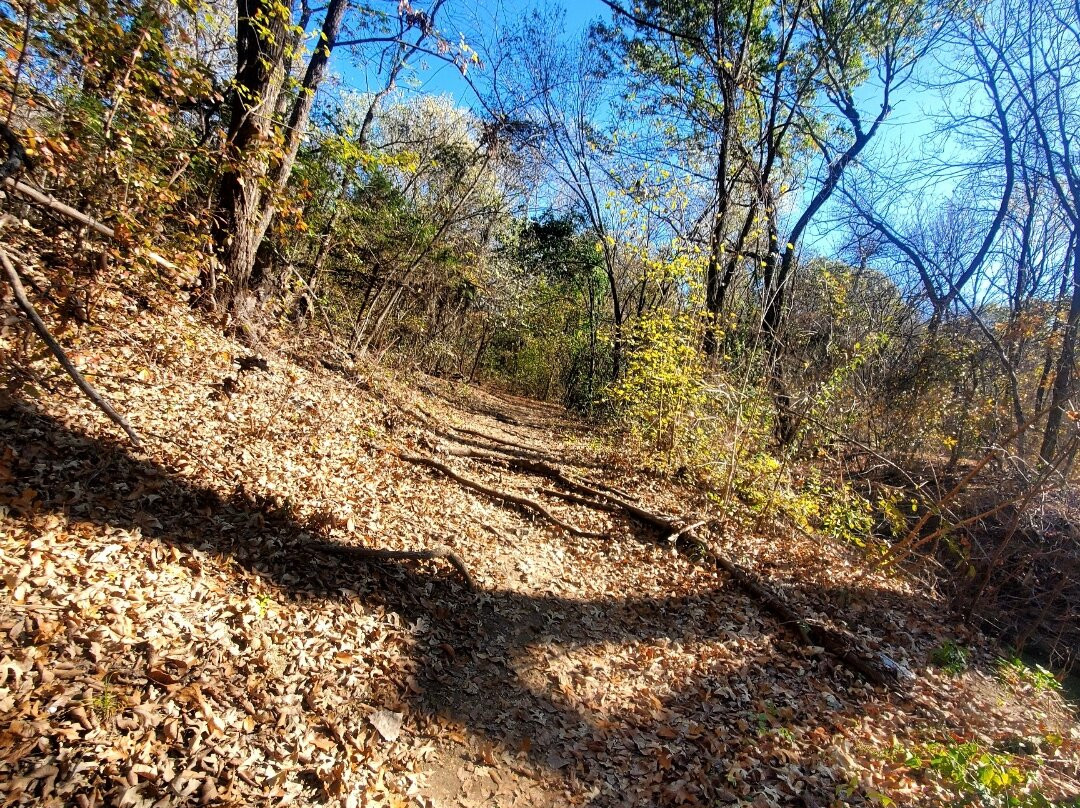 Arbor Hills Nature Preserve-普莱诺必去景点
