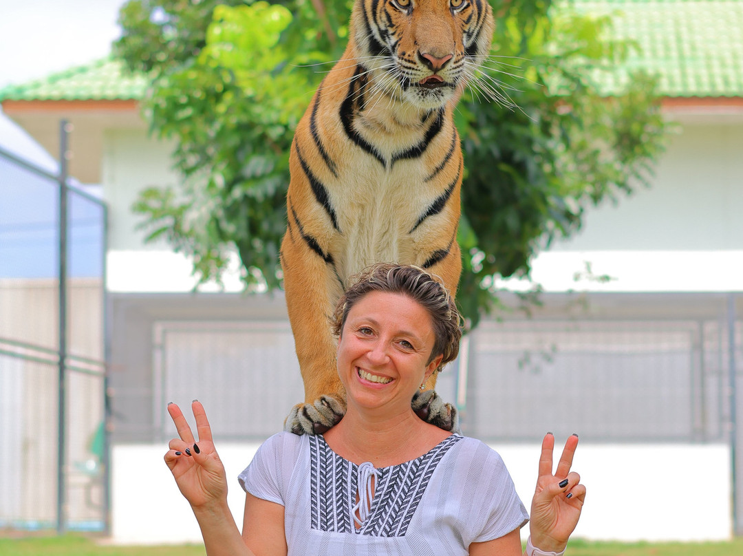 Tiger World Thailand-丹能沙都必去景点