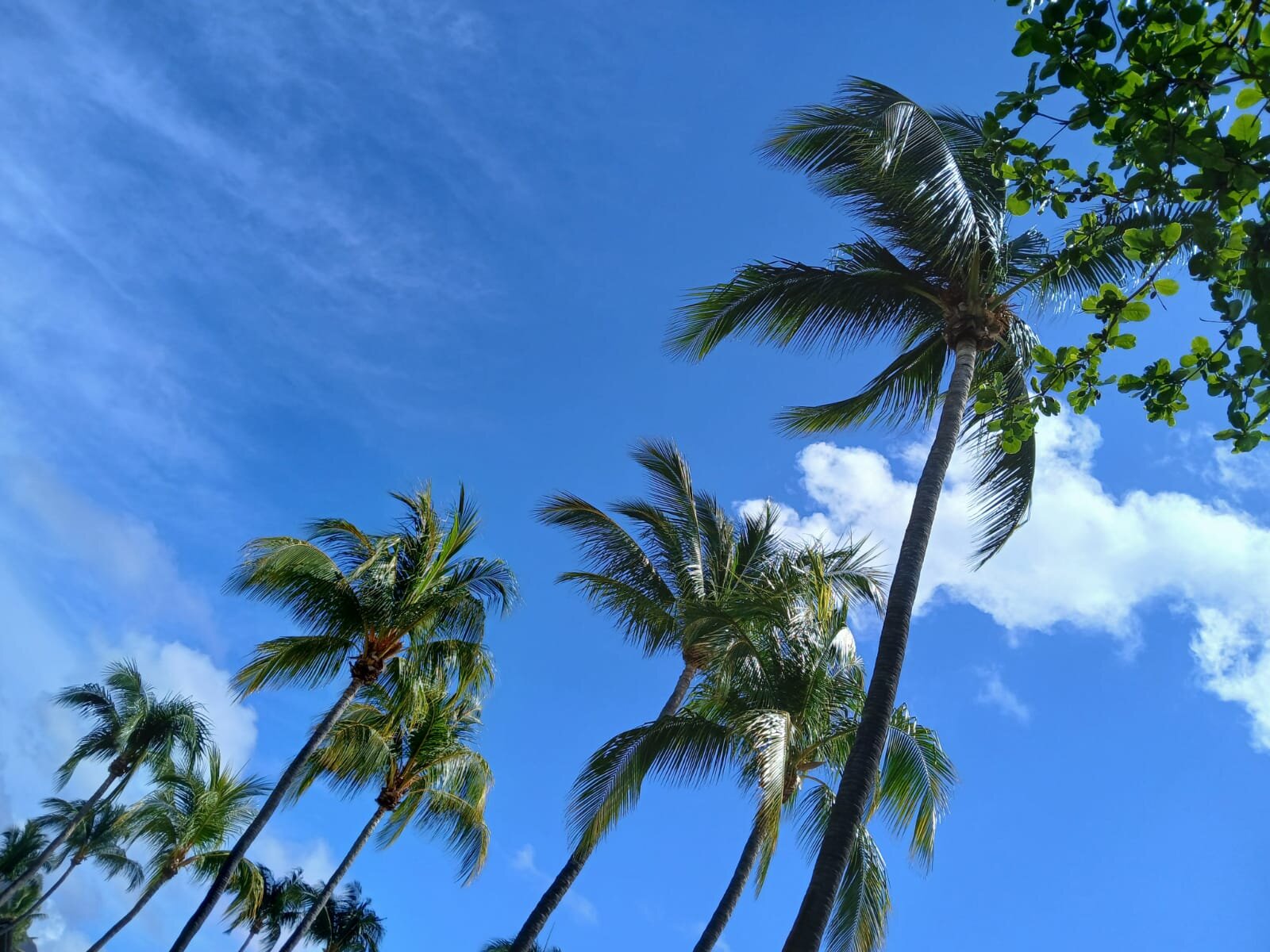 帝国索菲特度假酒店和水疗中心-官方