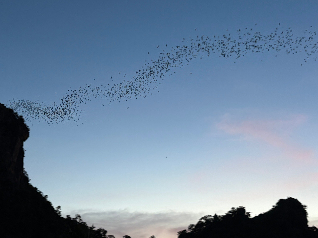 Nayang Bat Cave-七岩必去景点