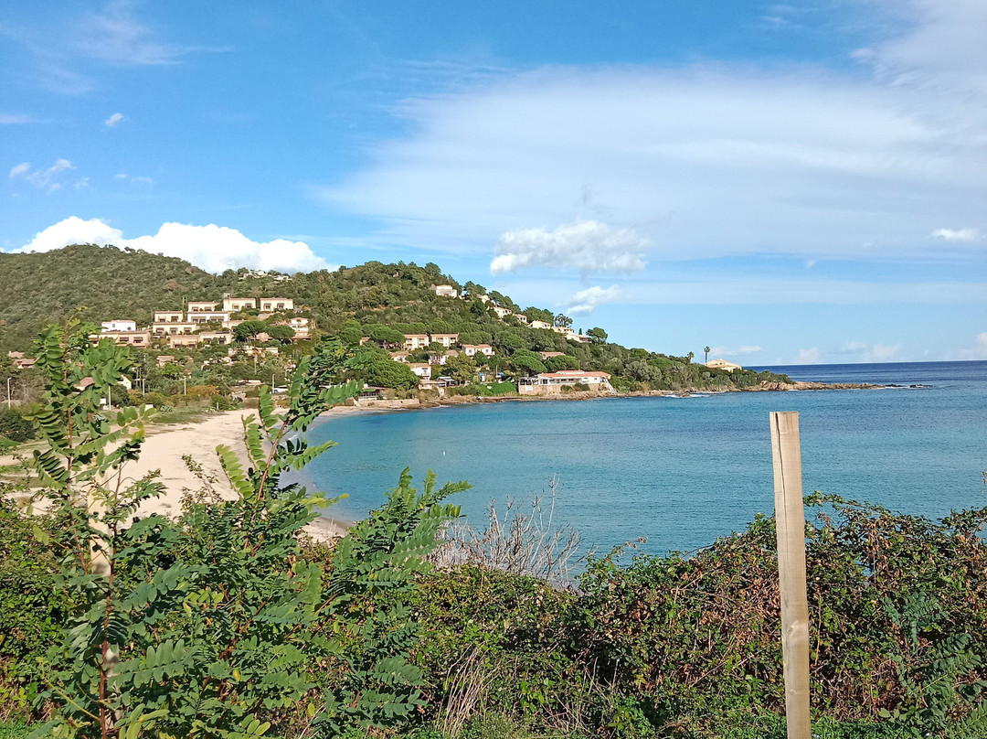 Plage De Tarco-维琪奥港必去景点