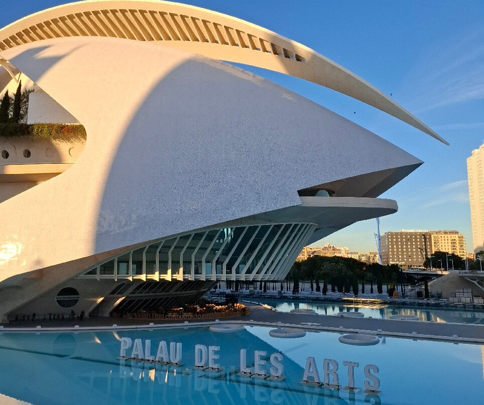 Palacio de las Artes Reina Sofía-巴伦西亚必去景点