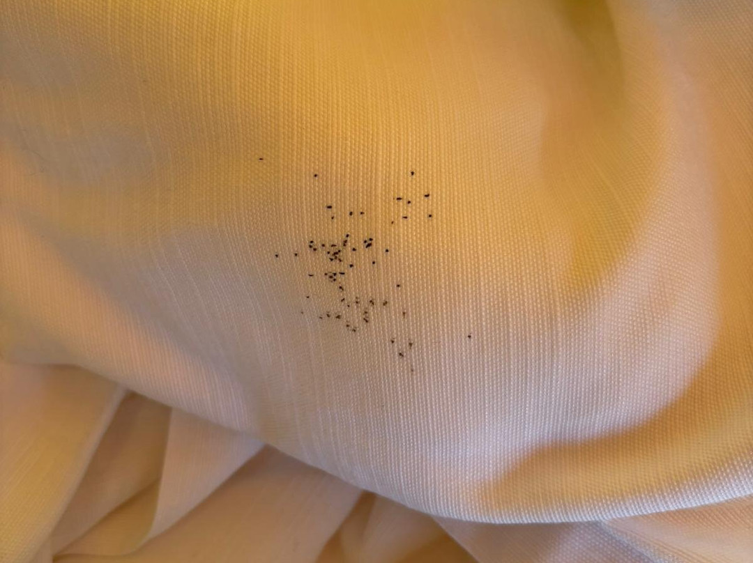 Podere degli Olmi-Foiano della Chiana必去景点