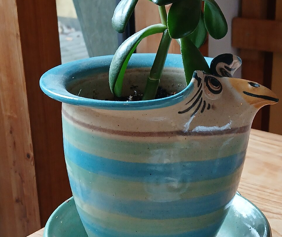 Bio-Hotel Kenners Landlust主图