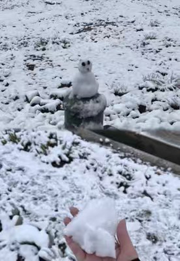 西藏域龍旅行社-拉萨市必去景点