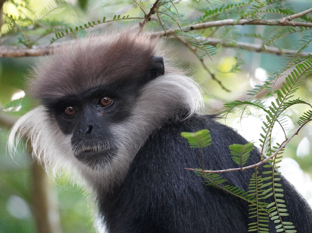 Spice Spoon: Traditional Smoke kitchen cooking Experience: southern Sri Lanka-Gurubebila必去景点