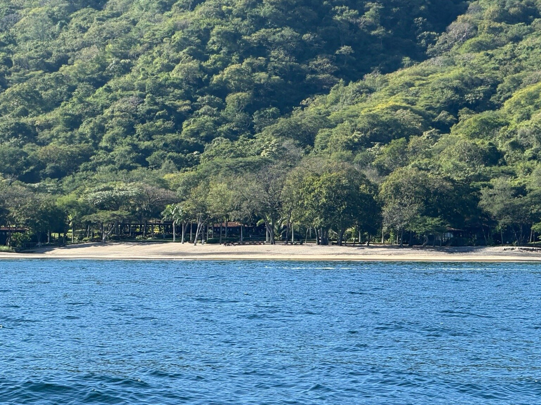 Rocket Frog Divers-Playas del Coco必去景点