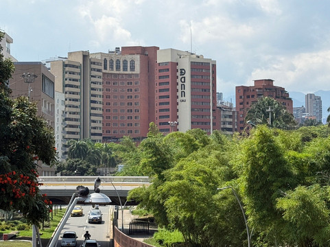 丹恩卡尔顿卡利酒店主图