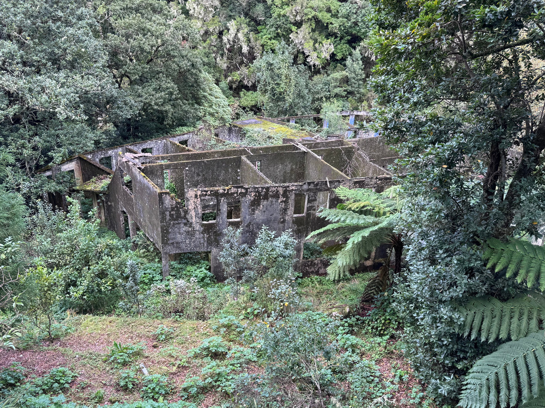 PR11 Vereda dos Balcões-Ribeiro Frio必去景点